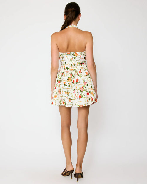 Anisa Mini Dress