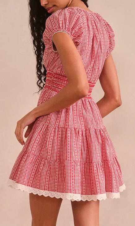 Asterid Floral Stripe Gingham Mini Dress