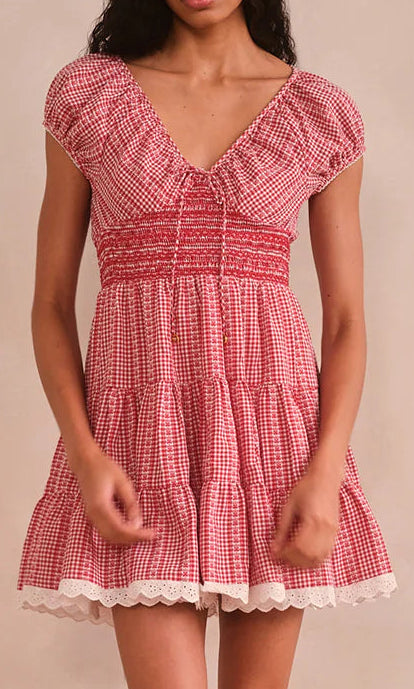 Asterid Floral Stripe Gingham Mini Dress
