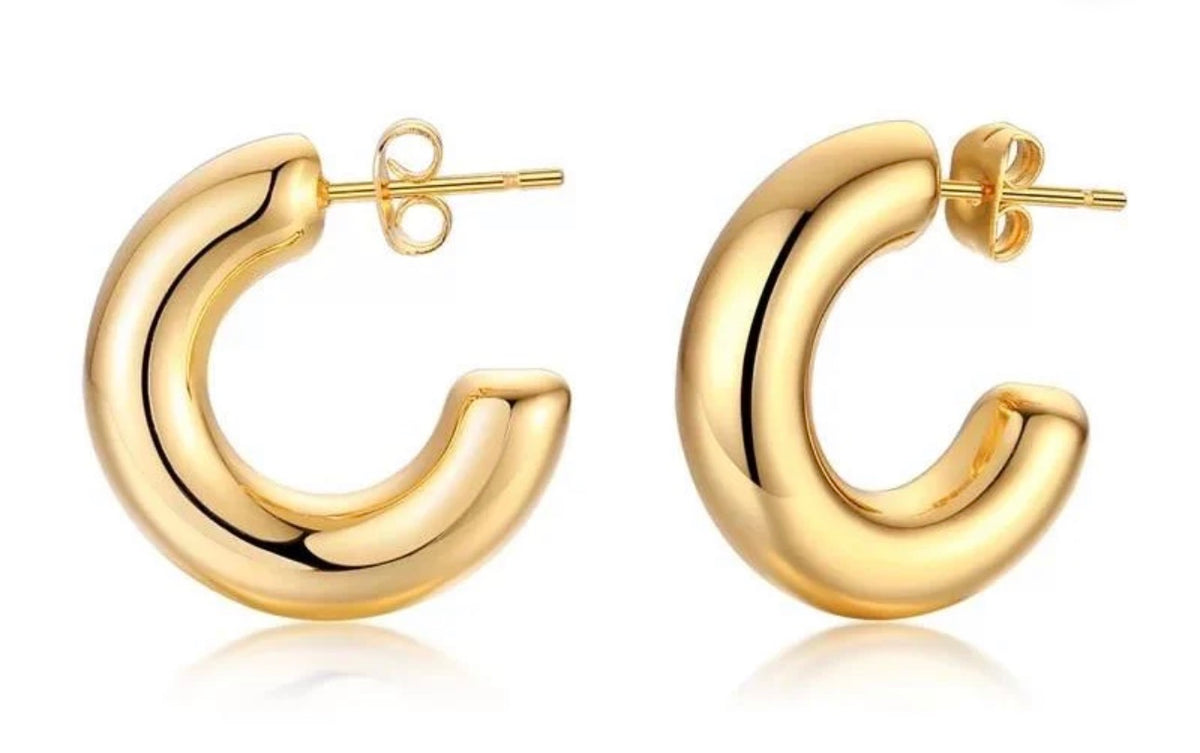 Chloe Mini Hoop