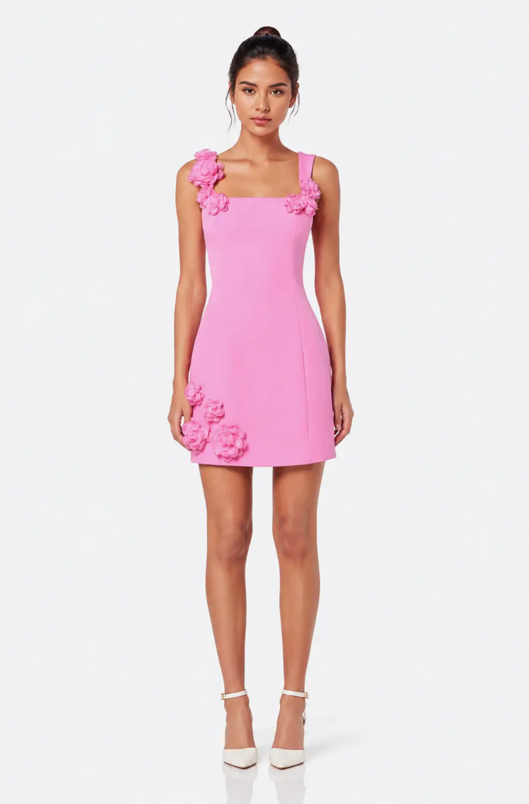 Floral Applique Dress