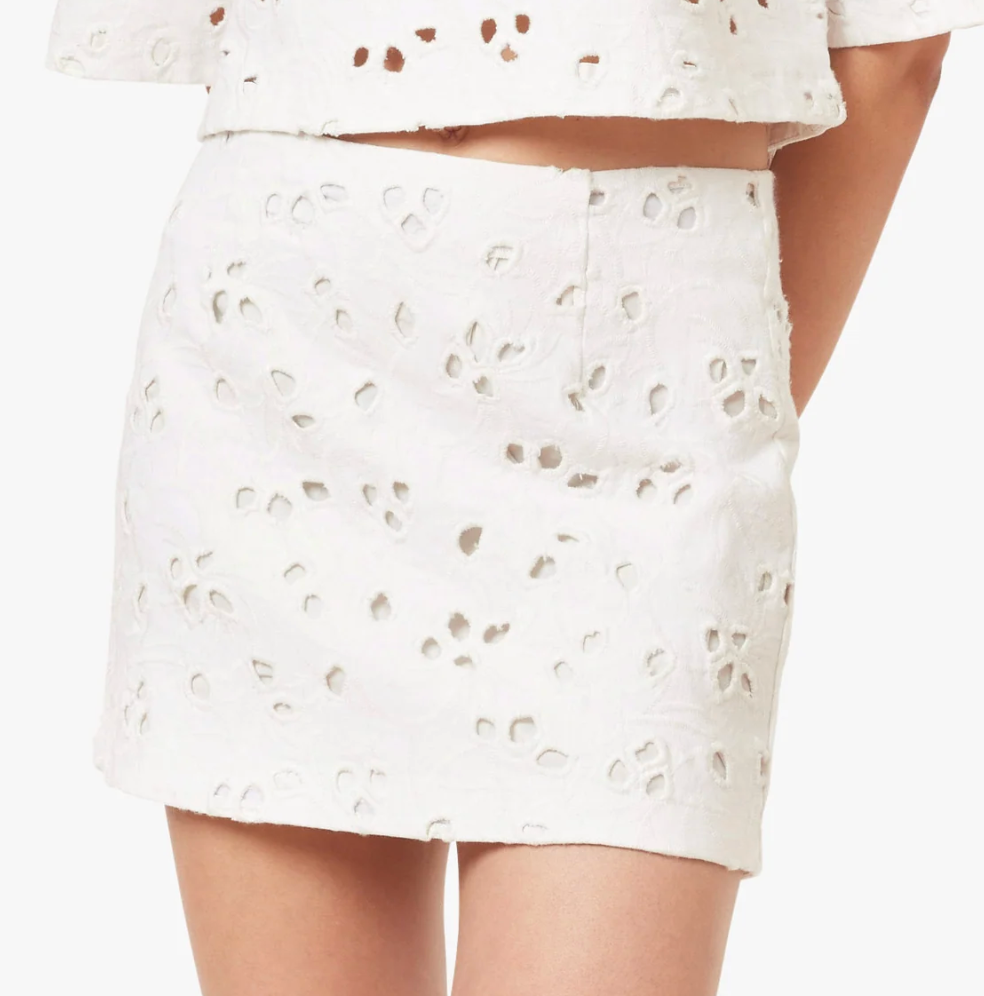 Embroidered Mini Skirt