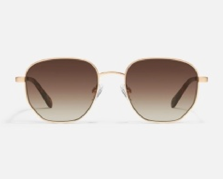 Big Time Sunglasses / Brushed Gold / Brown
