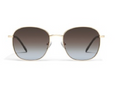 Jezabell Sunglasses / Gold / Chocolate Blue