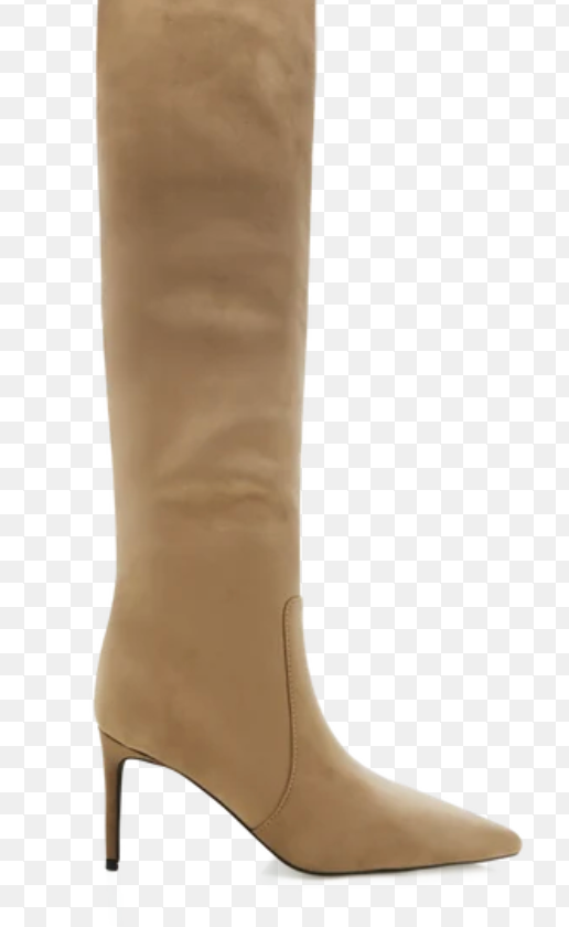 Rosy Suede Boot