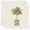 Lemon Tree Gift Enclosure